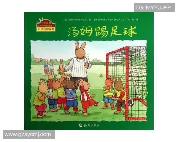 足球的封皮背后隐藏的故事与文化传承探讨